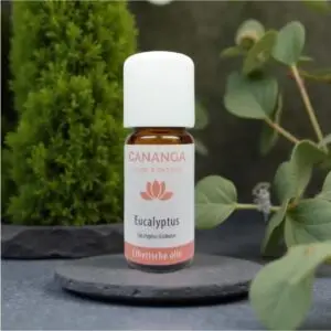 cananga essentiële eucalyptusolie