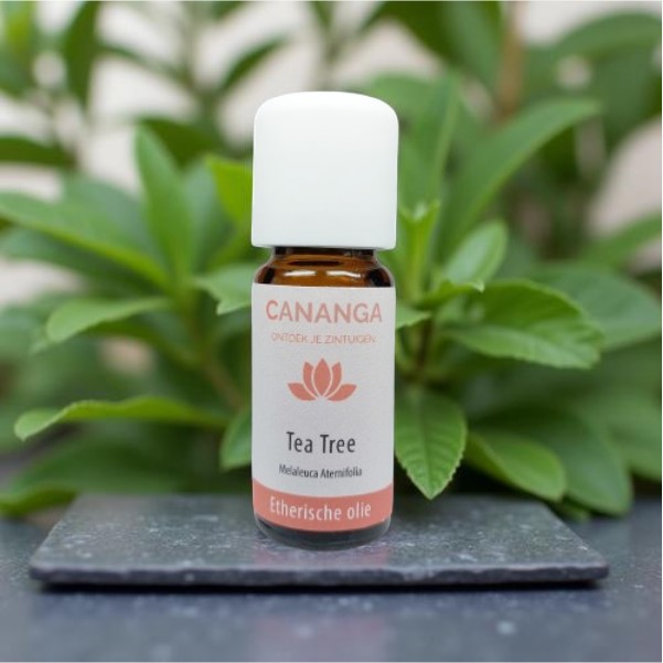 cananga essentiële tea treeolie 3