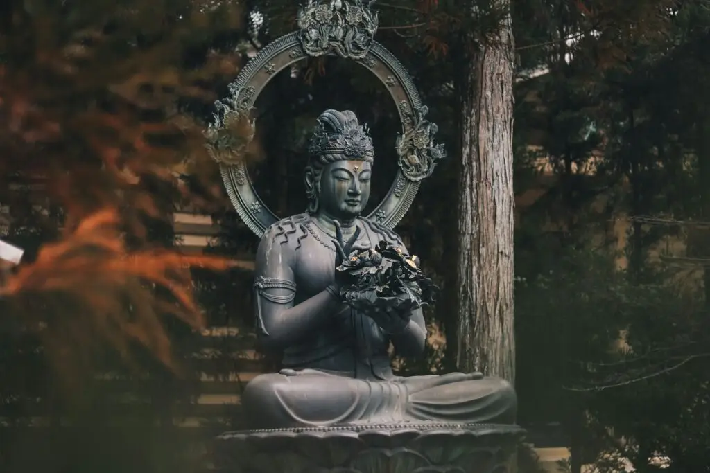 shaman connect blog word wakker